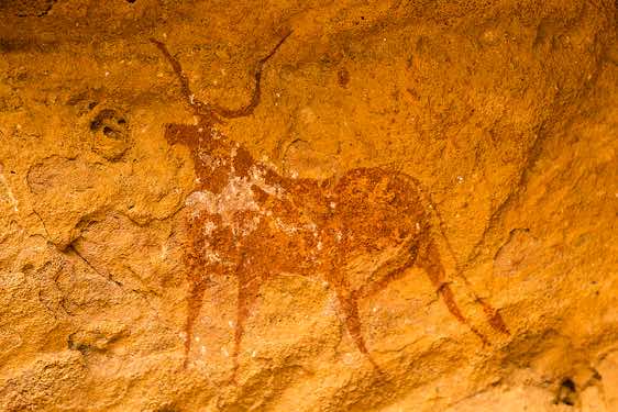 Rock painting of a cow, Terkei West, Ennedi, northeastern Chad