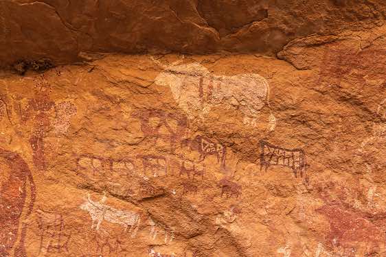 Rock painting showing cows and bulls, goats, a camel, and a human figure (upper left) with white dots throughout his body, Kozen rock art site, Tibesti region