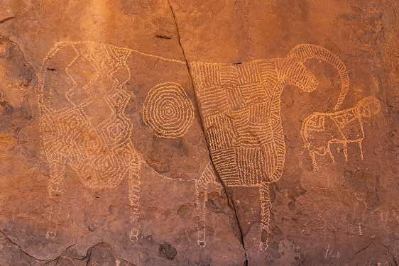 Cow engraving with elaborate pattern, Tibesti region