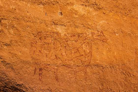 Rock painting of a (red) cow with grid-style coat pattern markings and (white) horns curved forward, with the tip of the horn infilled in red, Gaora Hallagana, Ennedi, northeastern Chad