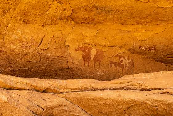 Rock painting showing (red) infilled cows with (white) horns, Ennedi, northeastern Chad