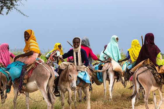 Group of girls on donkeys, near Abéché