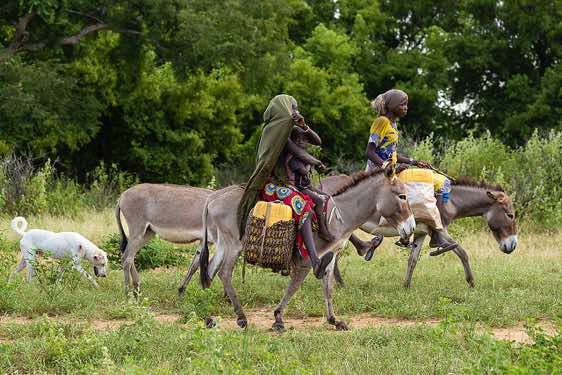 Woman with a young child on a donkey