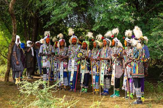 The dances are the focal point of the Gerewol festival, with the main dance spectacle being the Yaake. Here the men line up and put on their best show to attract the women's attention