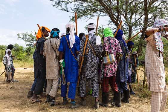 Group of Wodaabe (Bororo) men dancing at the Gerewol festival