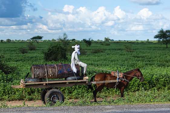 Horse cart, seen en route from N'Djamena to Massakory