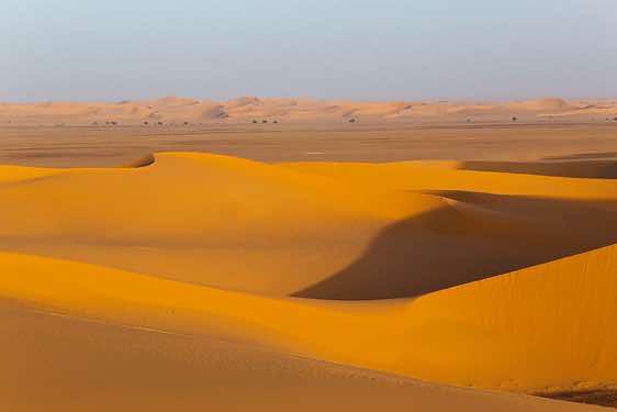 Sand dunes, Erg Bilma
