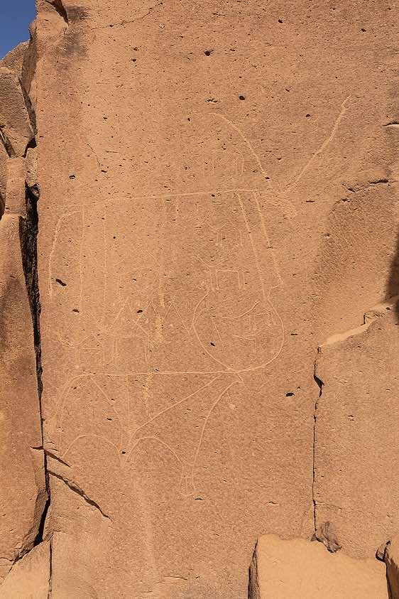 Cattle and camel engravings at Gonoa rock art site, near Bardaï, Tibesti region