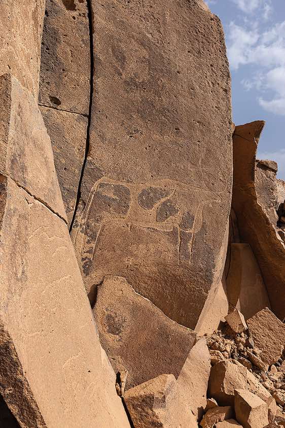 Cow engraving at Gonoa rock art site, near Bardaï, Tibesti region