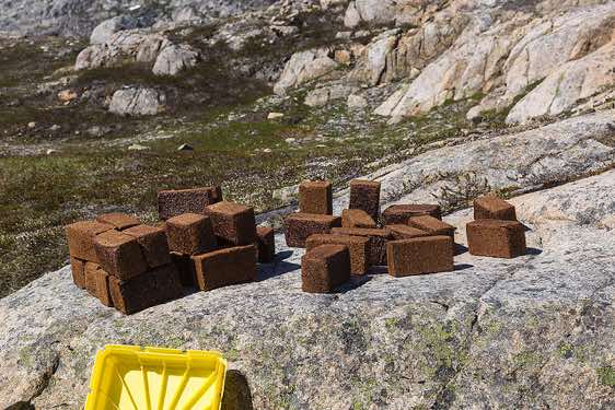 Bread in the sun, campsite, Sangmileq Fjord, Ammassalik Island