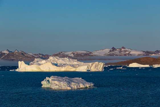 Floating icebergs, Johan Petersen Fjord