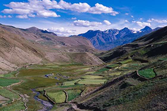 Grazing pastures, Dumla, 4100m, Spiti to Ladakh Trek