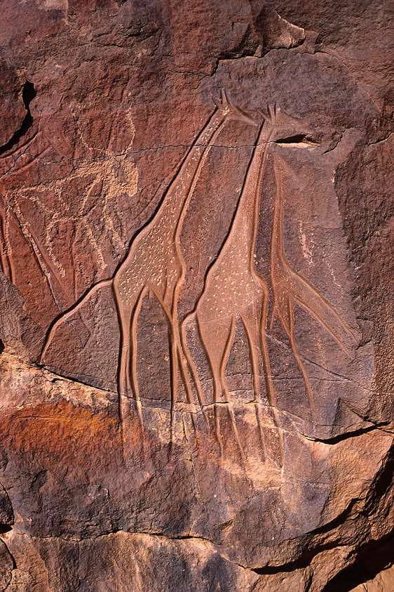 Giraffes rock carving, Wadi Matkhandush, Messak Settafet