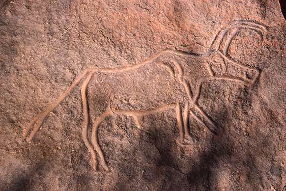 Buffalo rock carving, Wadi Matkhandush, Messak Settafet