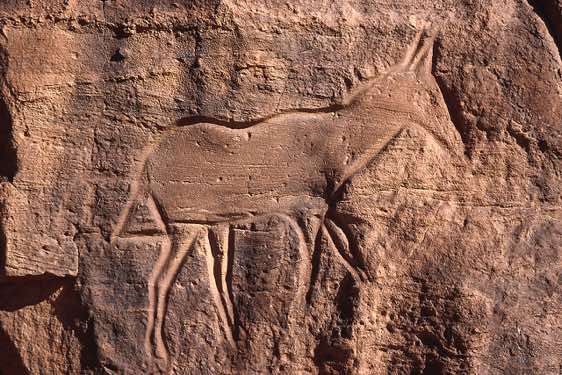Horse rock carving, Wadi Matkhandush, Messak Settafet