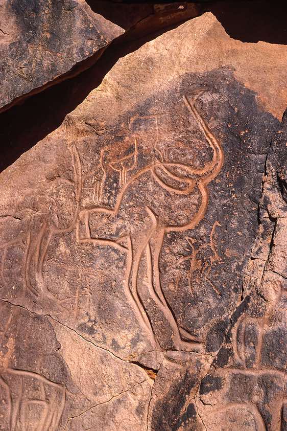 Ostrich rock carving, Wadi Matkhandush, Messak Settafet