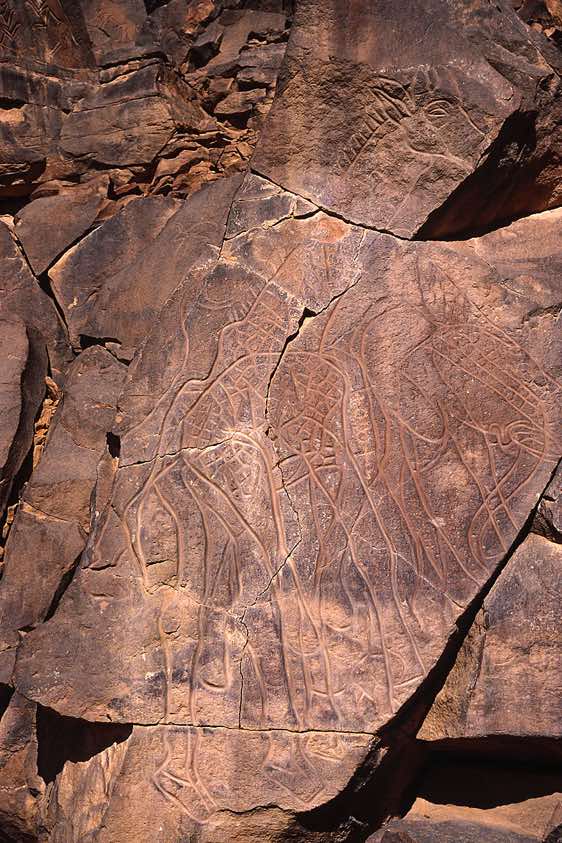 Giraffes rock carving with skin details, Wadi Matkhandush, Messak Settafet