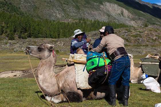Camel herders, Tavan Bogd National Park, Altai Mountains, Western Mongolia
