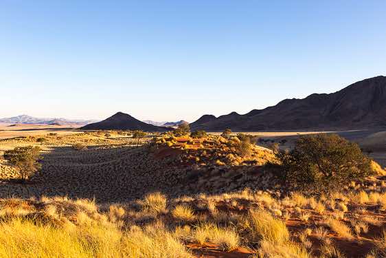 NamibRand dunes, NamibRand Nature Reserve, Namib Desert