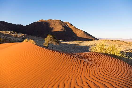 The vivid red dunes of NamibRand at sunset, NamibRand Nature Reserve, Namib Desert