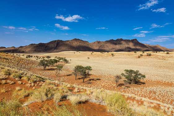 The vivid red dunes of NamibRand, NamibRand Nature Reserve, Namib Desert