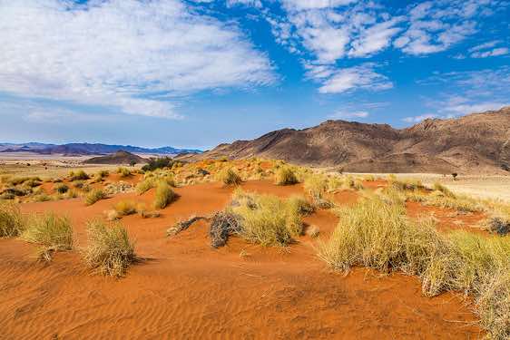 The vivid red dunes of NamibRand, NamibRand Nature Reserve, Namib Desert