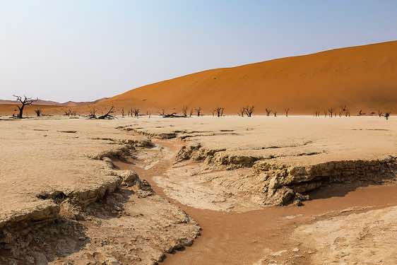 Dead Vlei, Sossusvlei dune field, Namib-Naukluft Park, Namib Desert