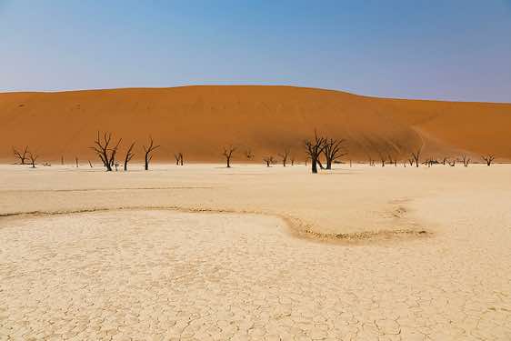 Dead Vlei, Sossusvlei dune field, Namib-Naukluft Park, Namib Desert