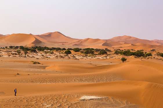 Panoramic viev of the Sossusvlei dune field, Namib Naukluft Park, Namib Desert