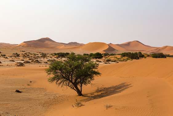 Panoramic viev of the Sossusvlei dune field, Namib Naukluft Park, Namib Desert