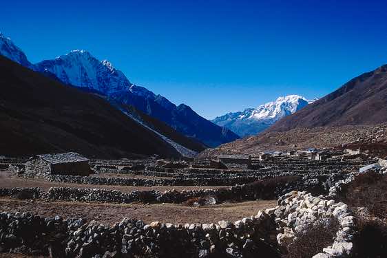Stone walls surround fields in Dingboche, 4350m