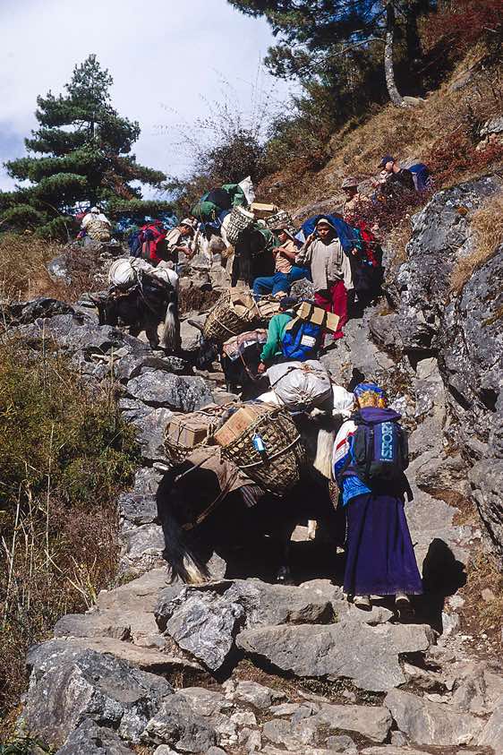 Rush hour on the trail from Lukla to Namche