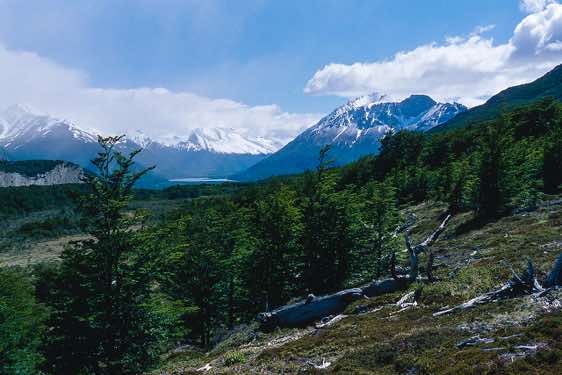 View towards Río Eléctrico, Los Glaciares National Park, Argentina