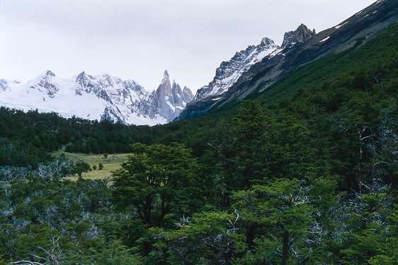 Cerro Torre, Los Glaciares National Park, Argentina