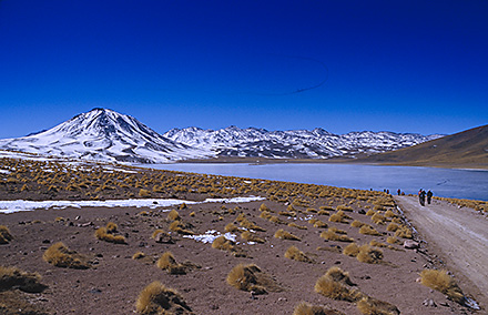 Atacama Desert Tour Chile