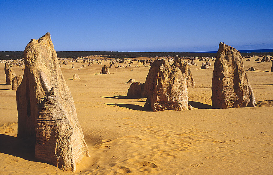 Pinnacles Nambung Western Australia