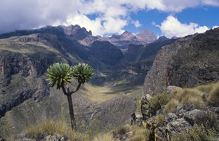 Mount Kenya Gorges Valley