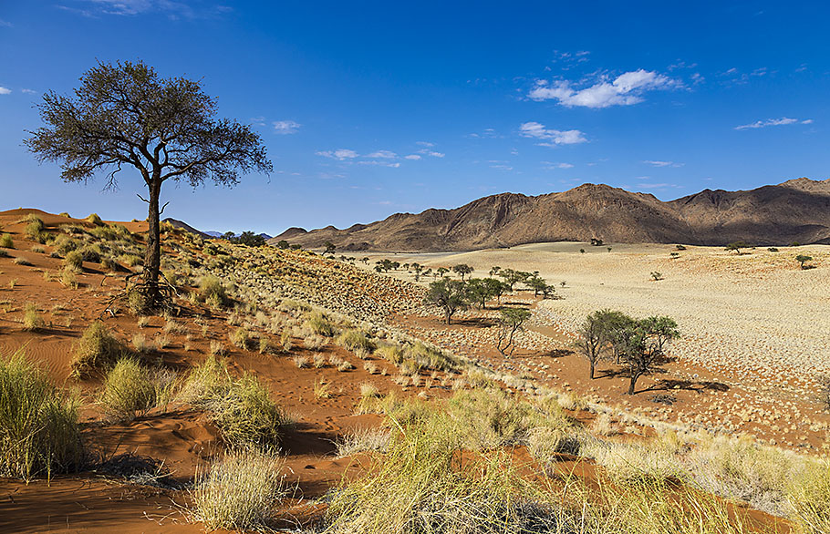 NamibRand dunes