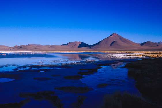 Laguna Colorada, 4278m, Altiplano