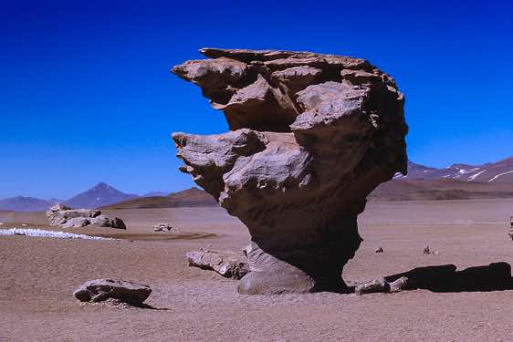 Árbol de Piedra ("stone tree"), a rock formation carved by wind-blown sand, Altiplano