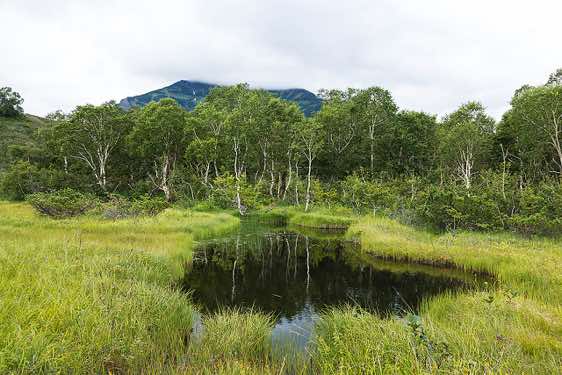 Landscape, Kamchatka wilderness, Pauzhetka area