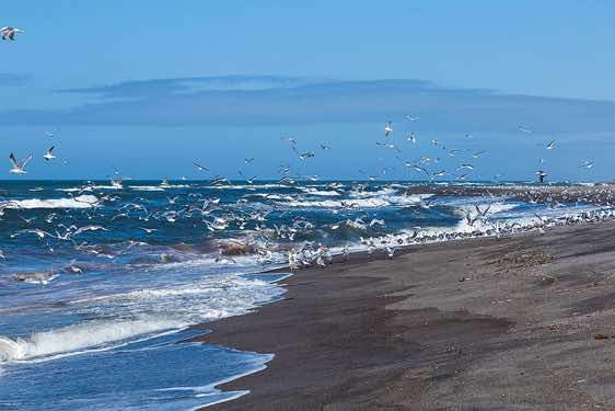 Beach, Sea of Okhotsk