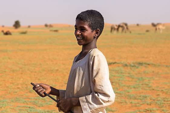 Nomad boy tending a camel herd in the desert, Northern Sudan