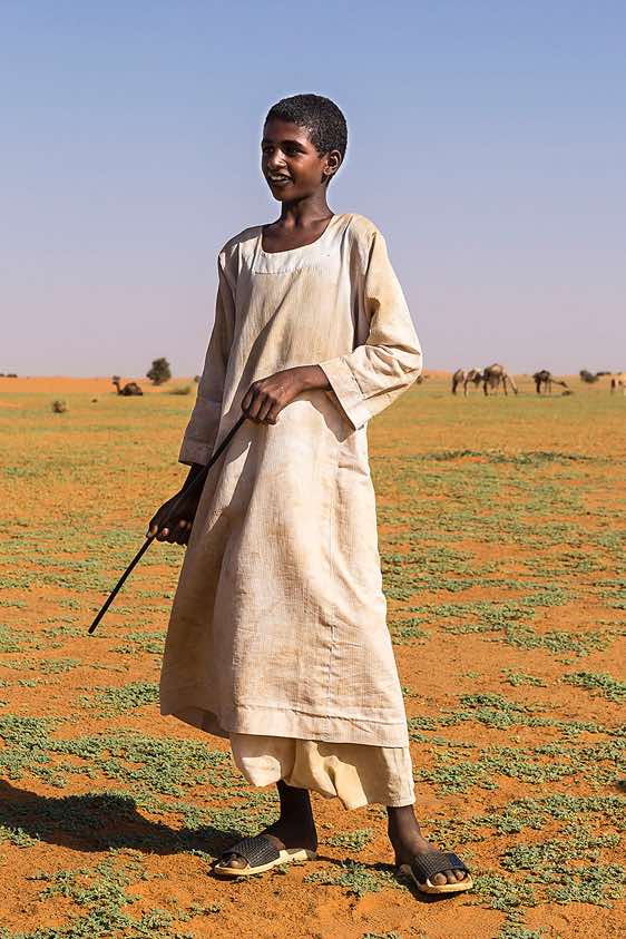 Nomad boy tending a camel herd in the desert, Northern Sudan