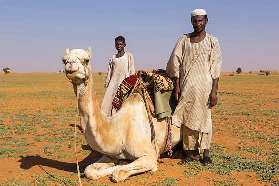 Nomads in the desert, Northern Sudan