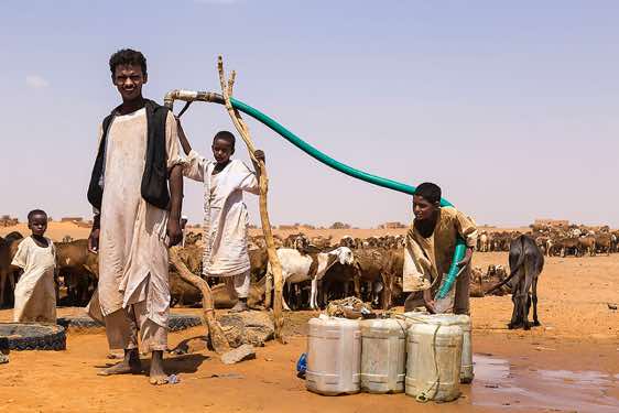 Nomads at a well in the desert, Northern Sudan
