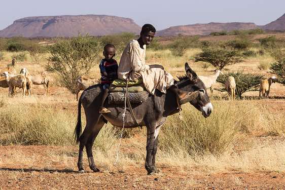 Nomad boys on a donkey, near Naqa (Naga), Northern Sudan