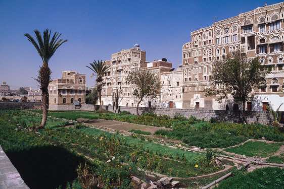 Garden, Old City of Sana'a