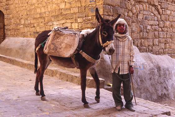 Boy with a donkey, Thula