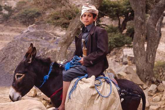 A boy on a donkey proudly wears his jambiya, a short dagger traditionally worn by men in Yemen